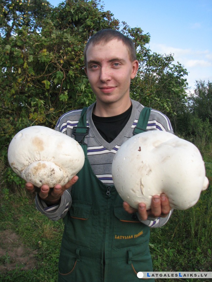 photo.jpg