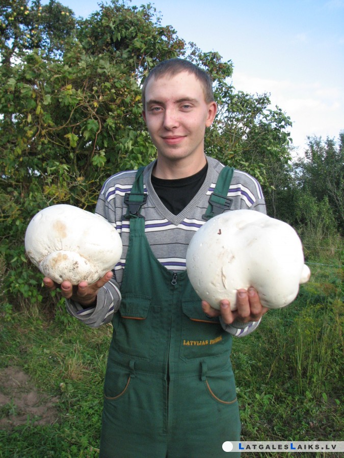 photo.jpg