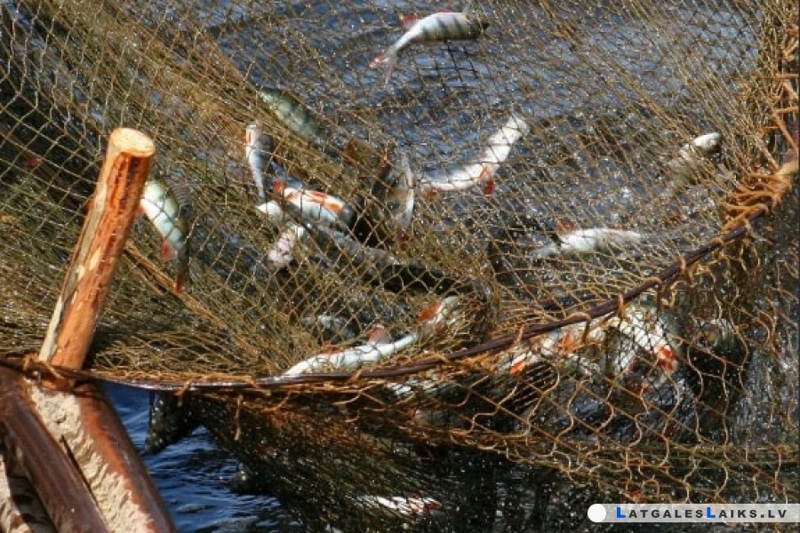 photo.jpg