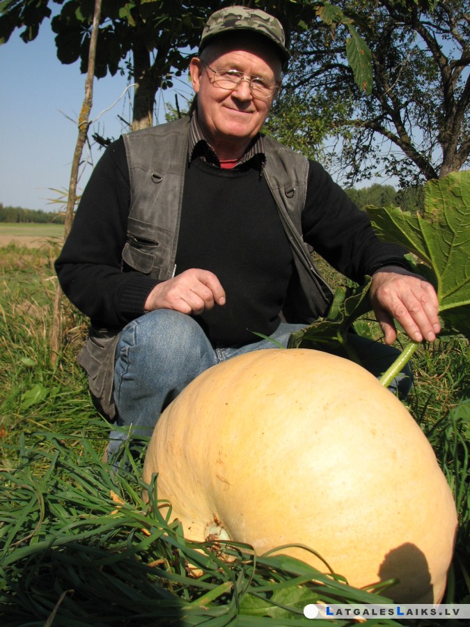 photo.jpg
