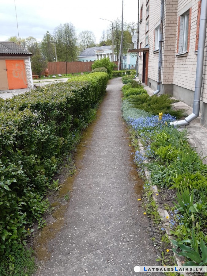photo.jpg