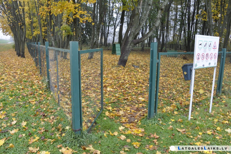 photo.jpg