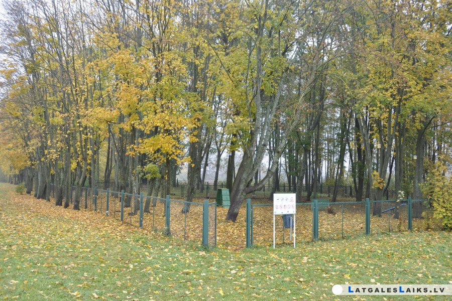 photo.jpg