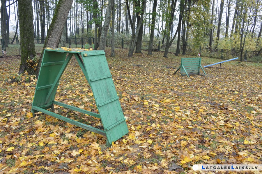 photo.jpg