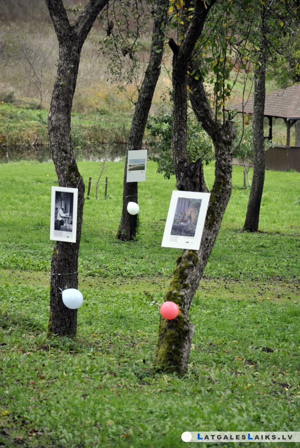 photo.jpg