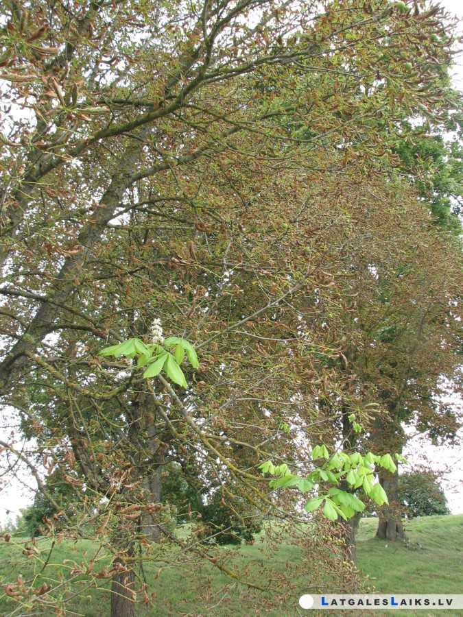 photo.jpg