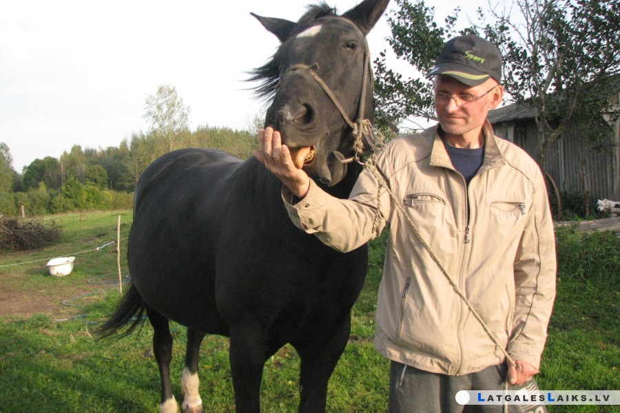 Vai zirgs lauku sētā kļūs par eksotiku?