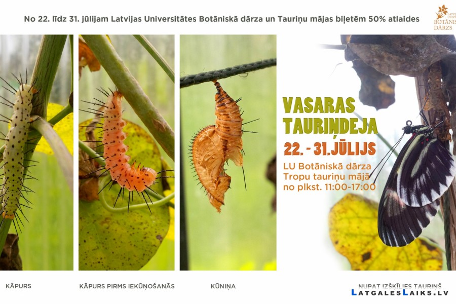 “Vasaras tauriņdeja” Latvijas Universitātes Botāniskā dārza Tropu tauriņu mājā