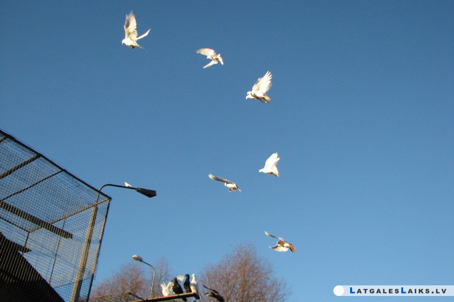 photo.jpg