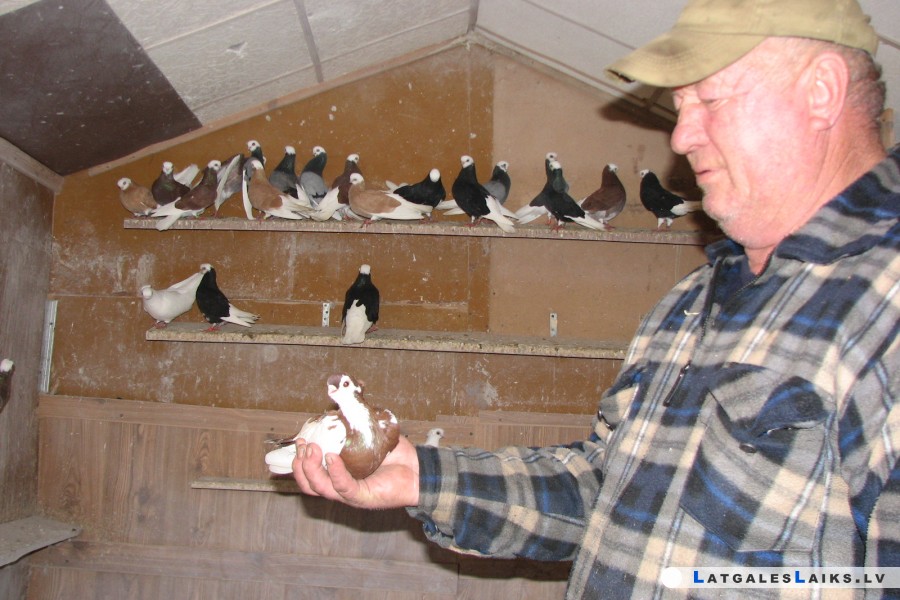 photo.jpg