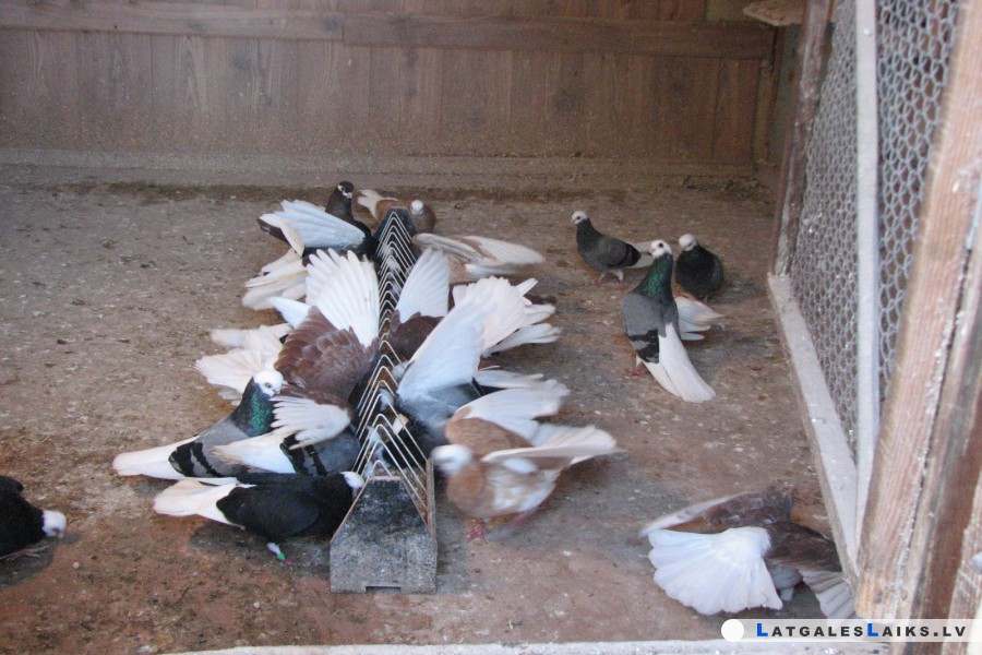 photo.jpg
