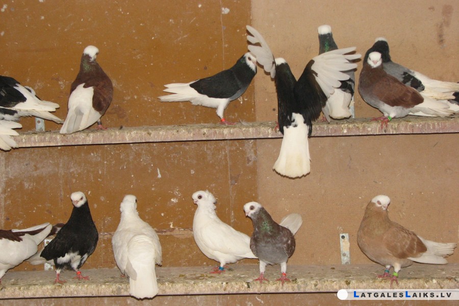 photo.jpg
