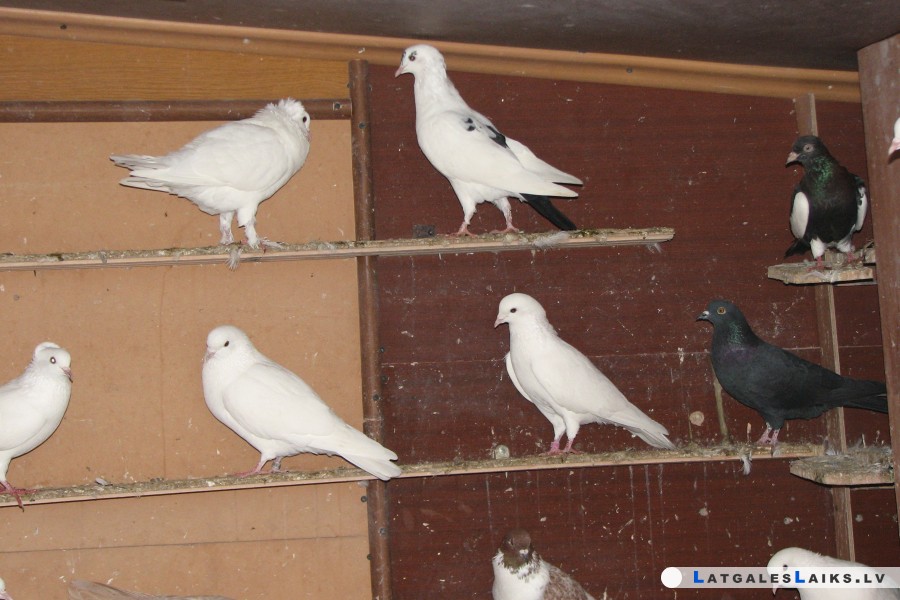 photo.jpg