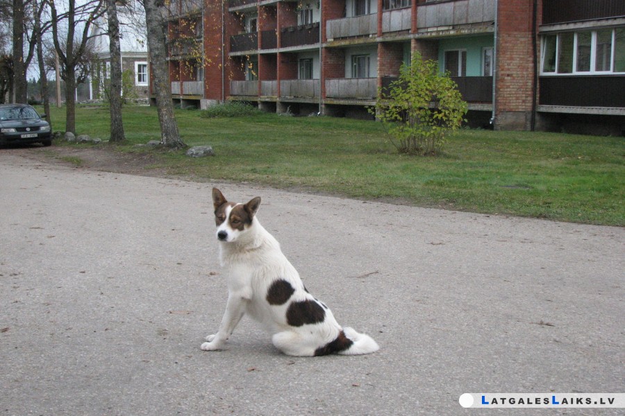 photo.jpg