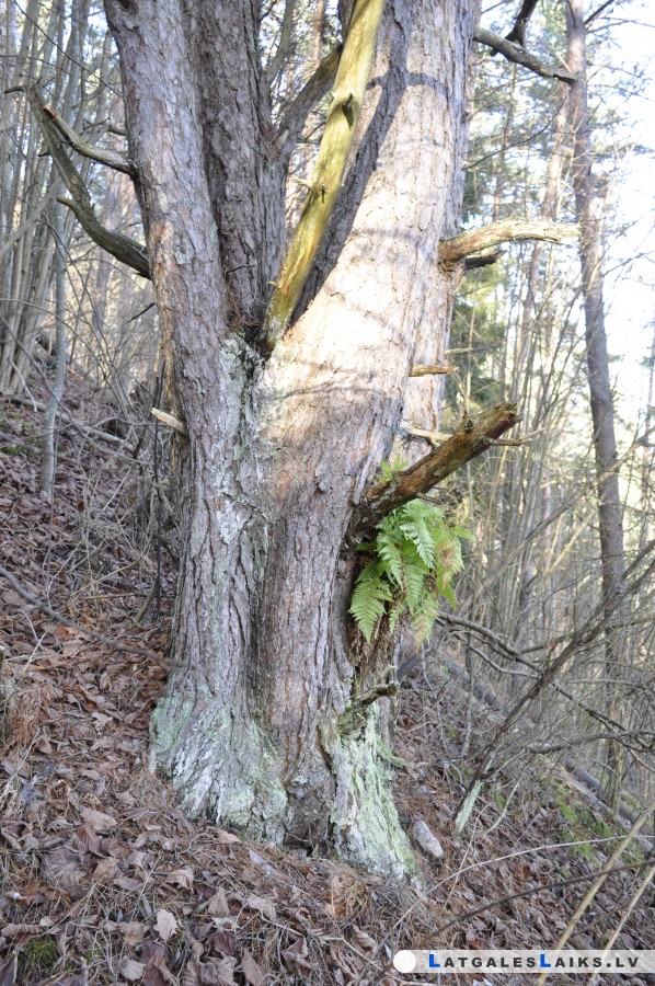 photo.jpg
