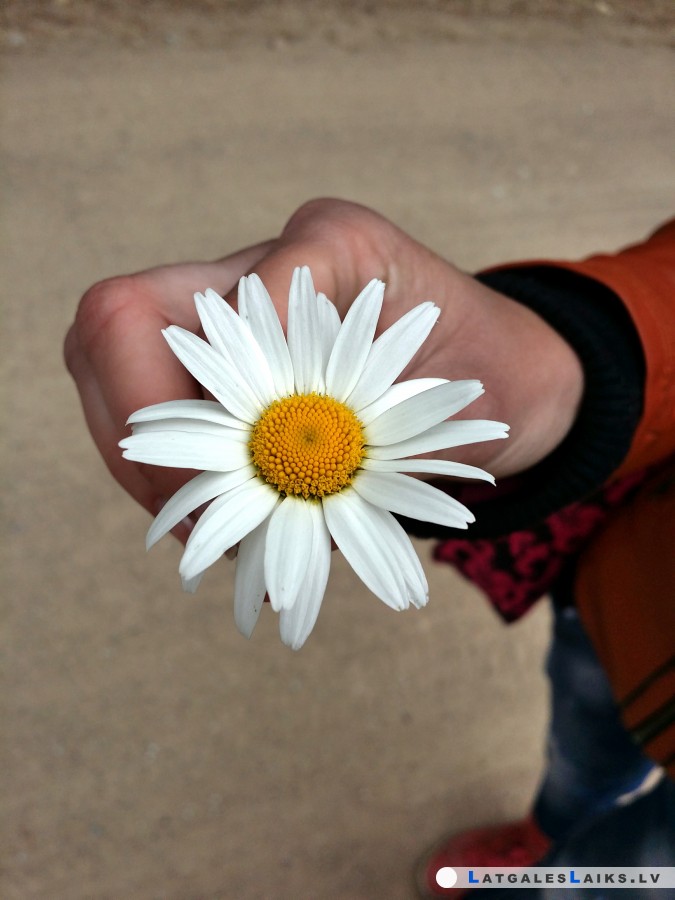 photo.jpg