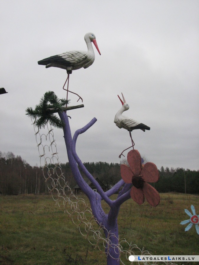 photo.jpg