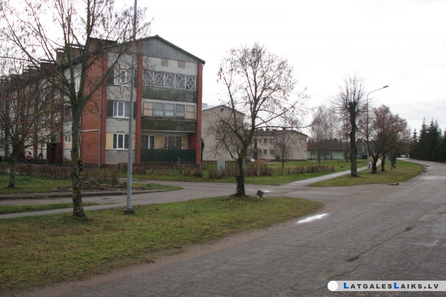 photo.jpg