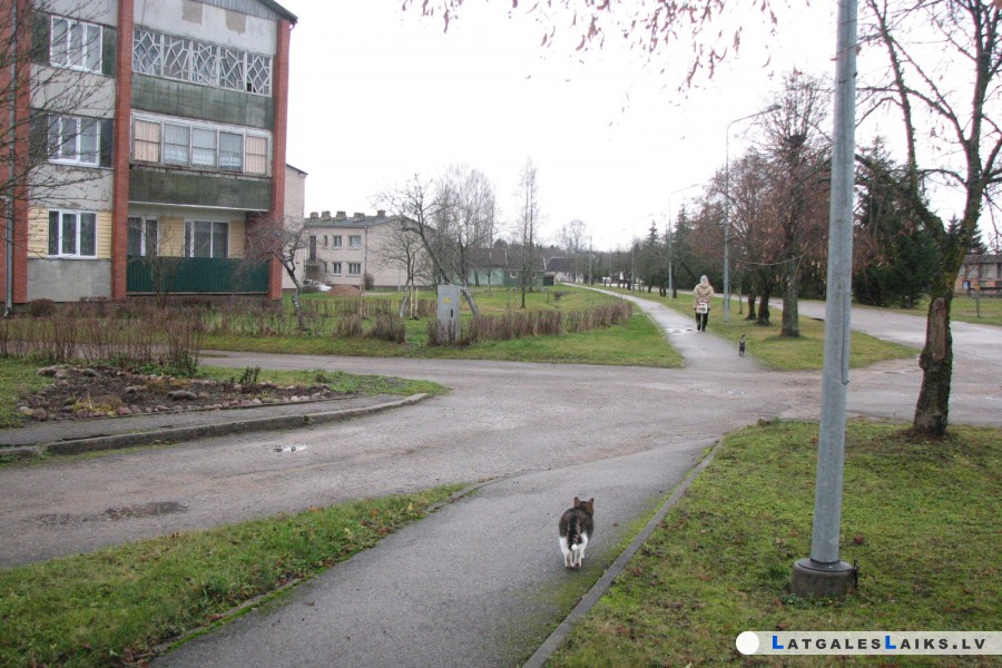photo.jpg