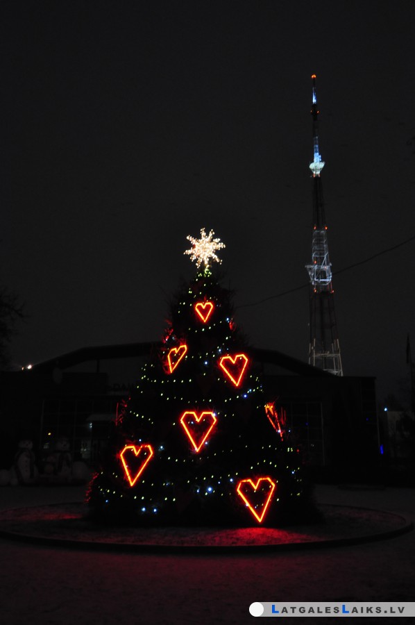 photo.jpg