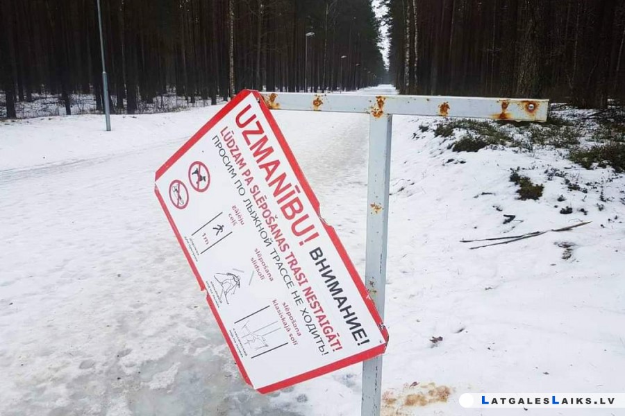 photo.jpg