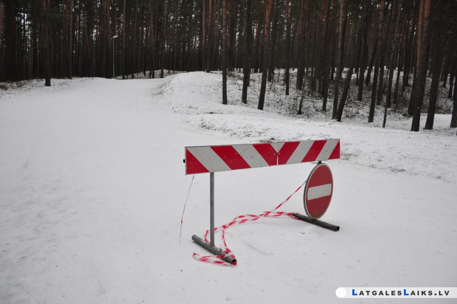 photo.jpg