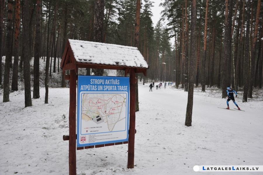 photo.jpg