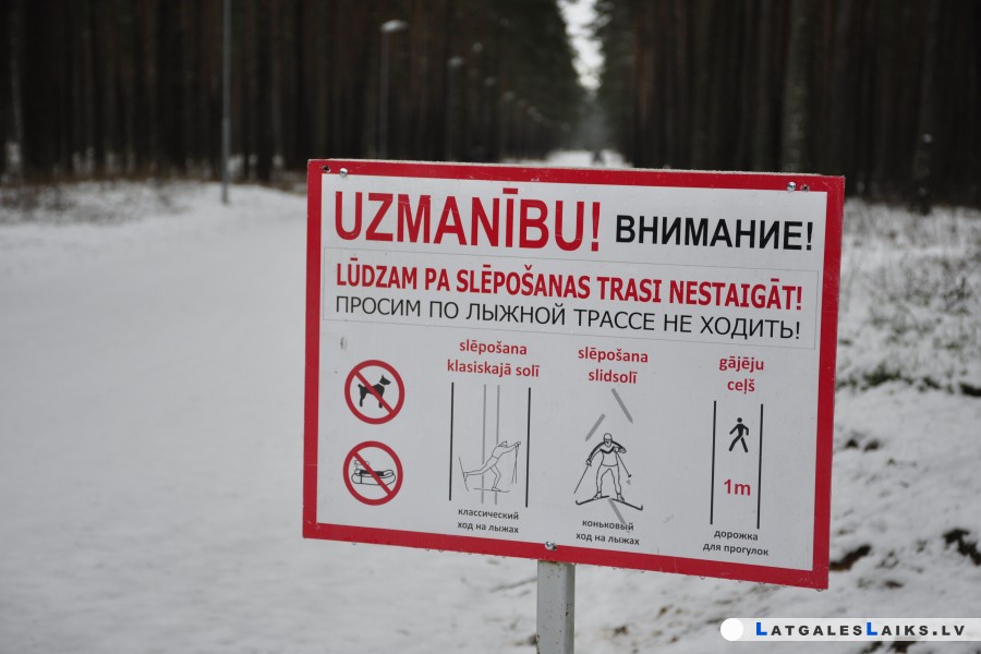 photo.jpg