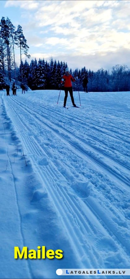 photo.jpg