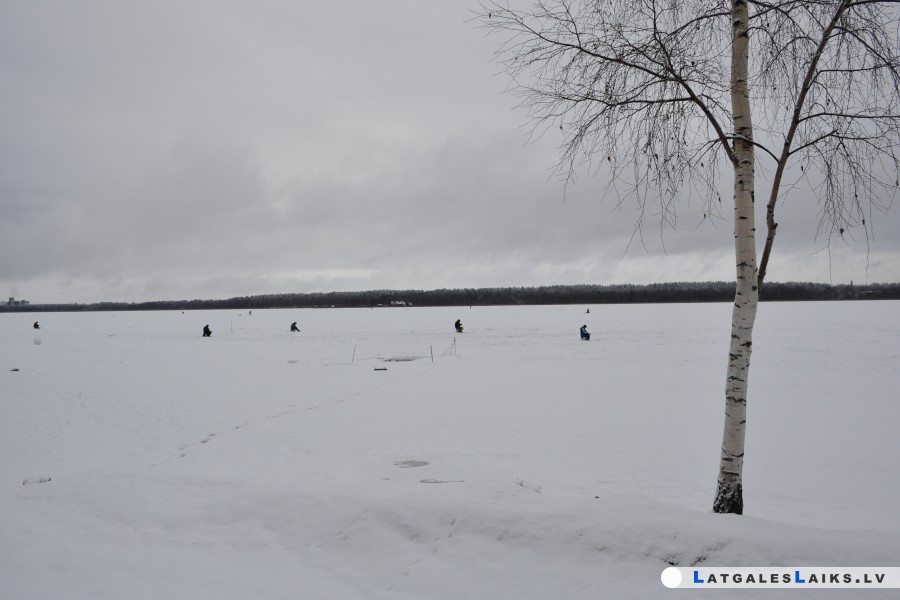 photo.jpg