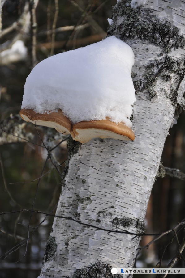 photo.jpg