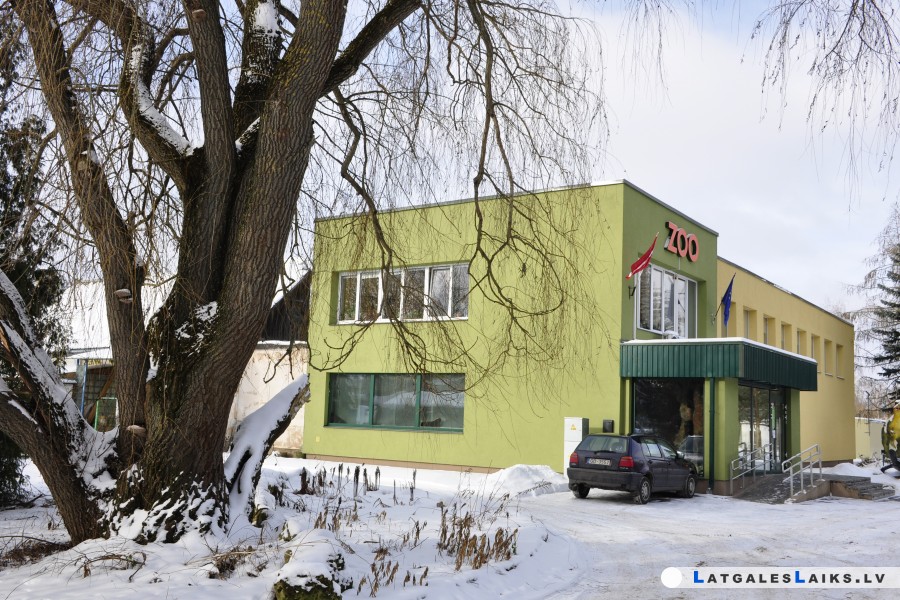photo.jpg