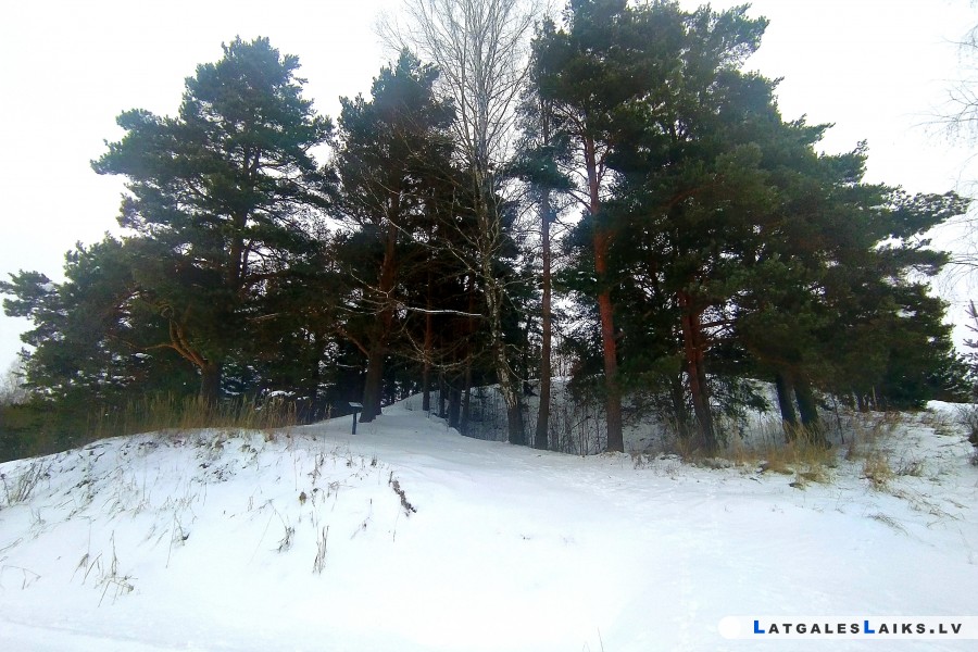 photo.jpg