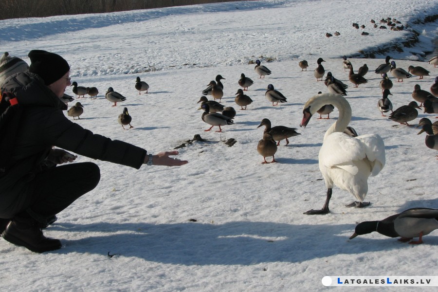 photo.jpg