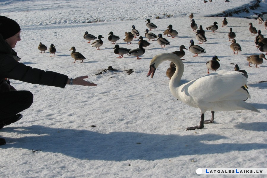 photo.jpg