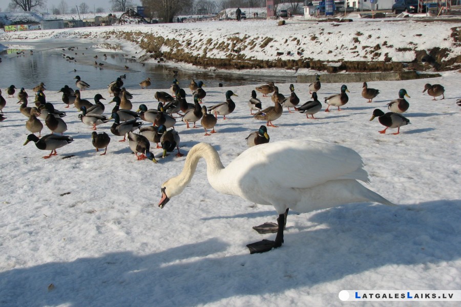 photo.jpg