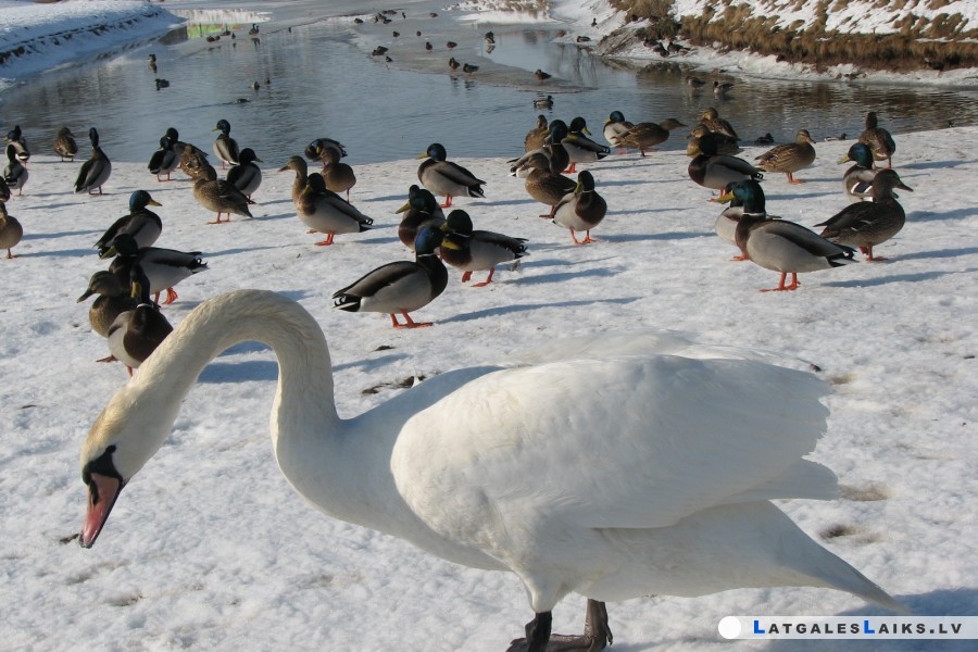 photo.jpg