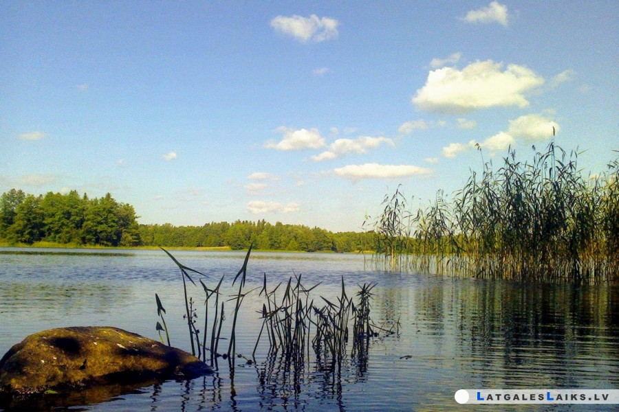 photo.jpg
