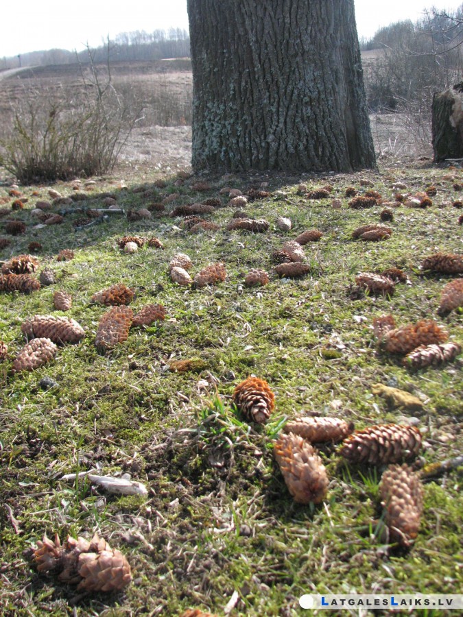 photo.jpg