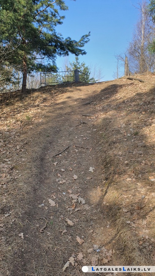 photo.jpg