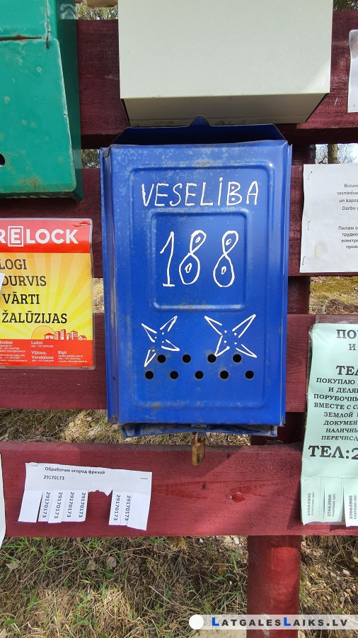 photo.jpg