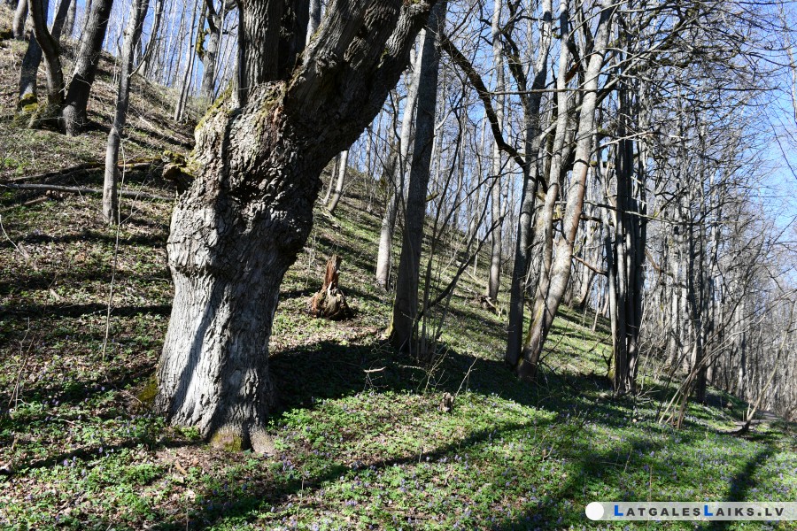photo.jpg
