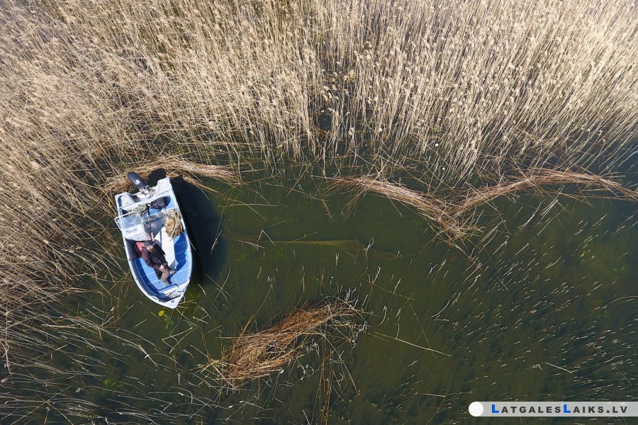 photo.jpg