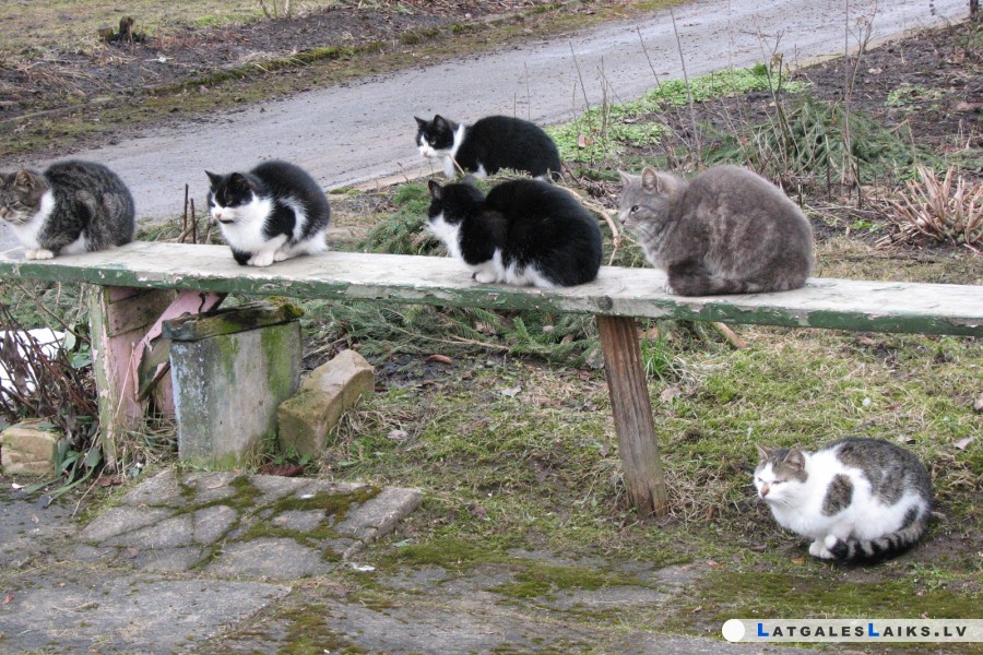 photo.jpg