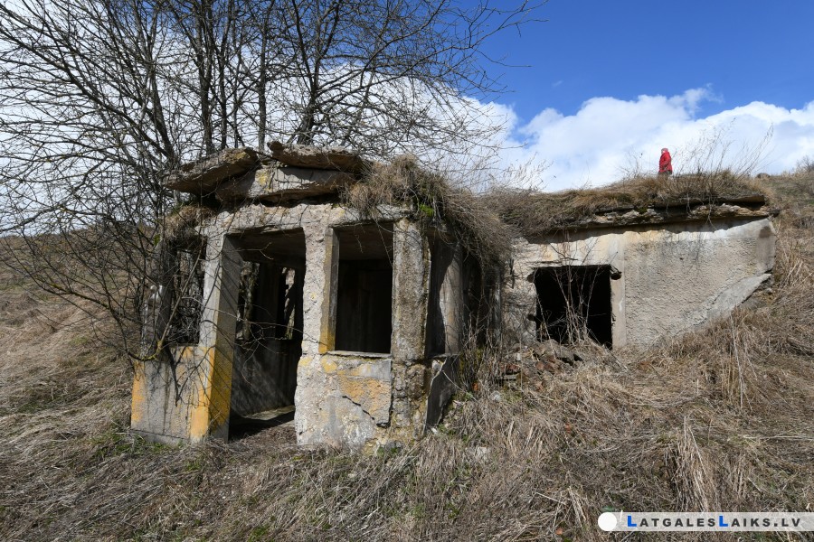 photo.jpg