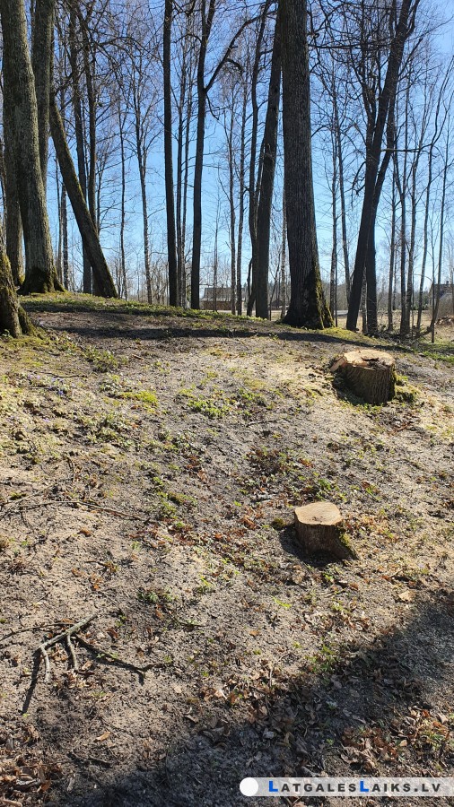 photo.jpg