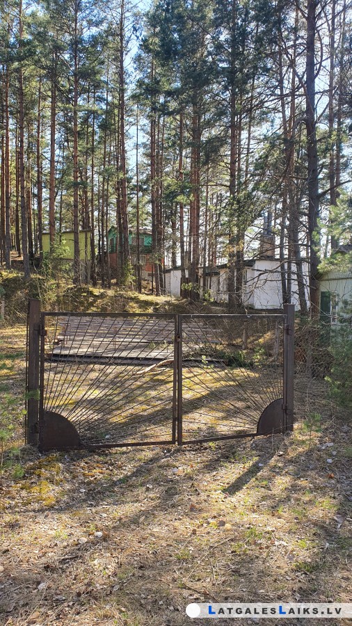 photo.jpg
