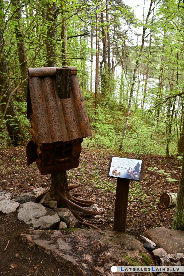 photo.jpg