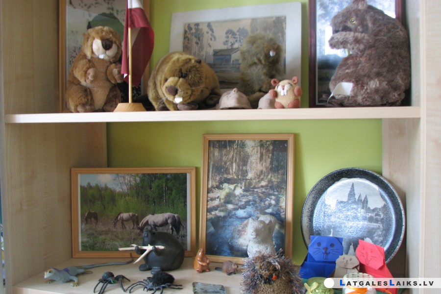 photo.jpg