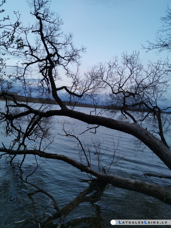 photo.jpg